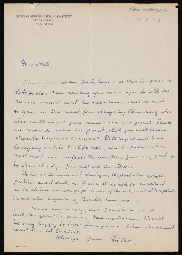 Miniature of Record Group I: Professional Materials, 1940 - 2022