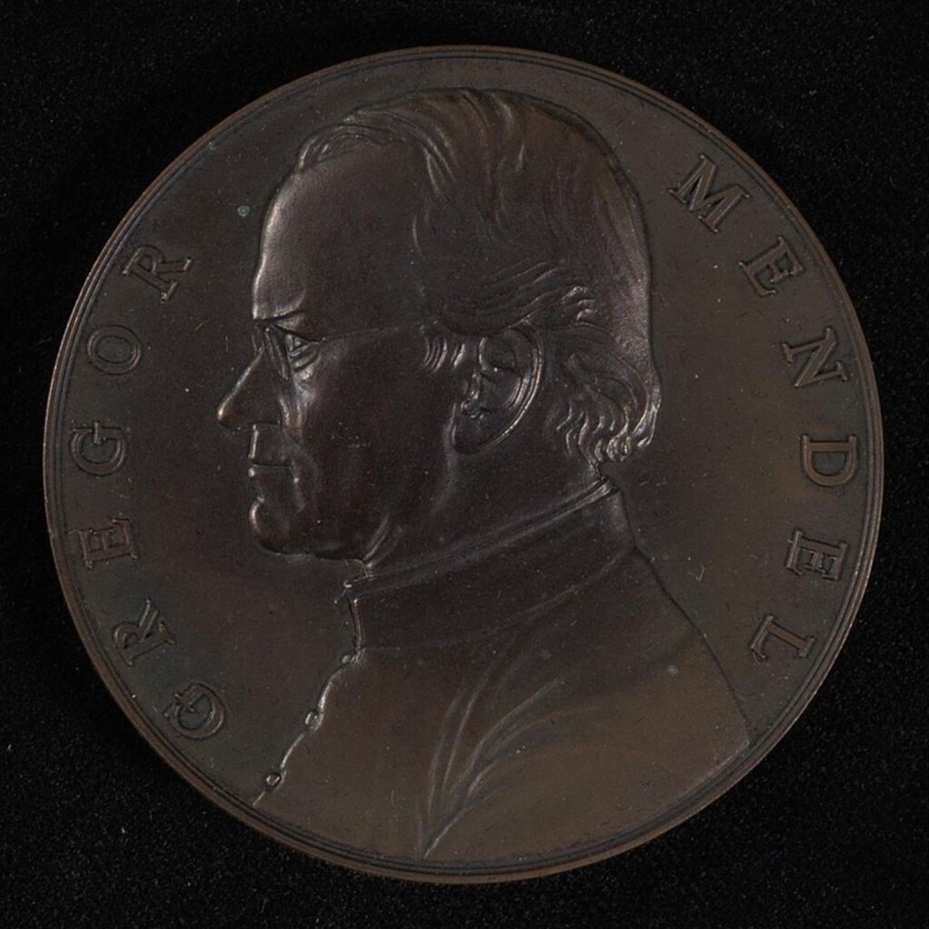 Miniature of Series V: Awards and Honors, 1975 - 2009