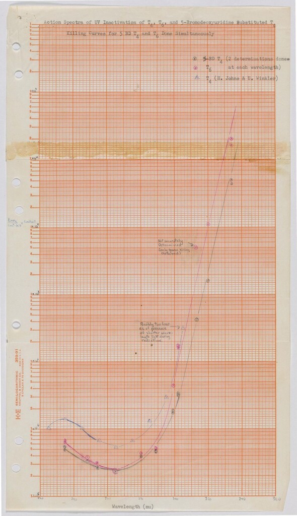 Miniature of Sub-Series II: Meselson-Stahl DNA Replication, 1956 - 1957