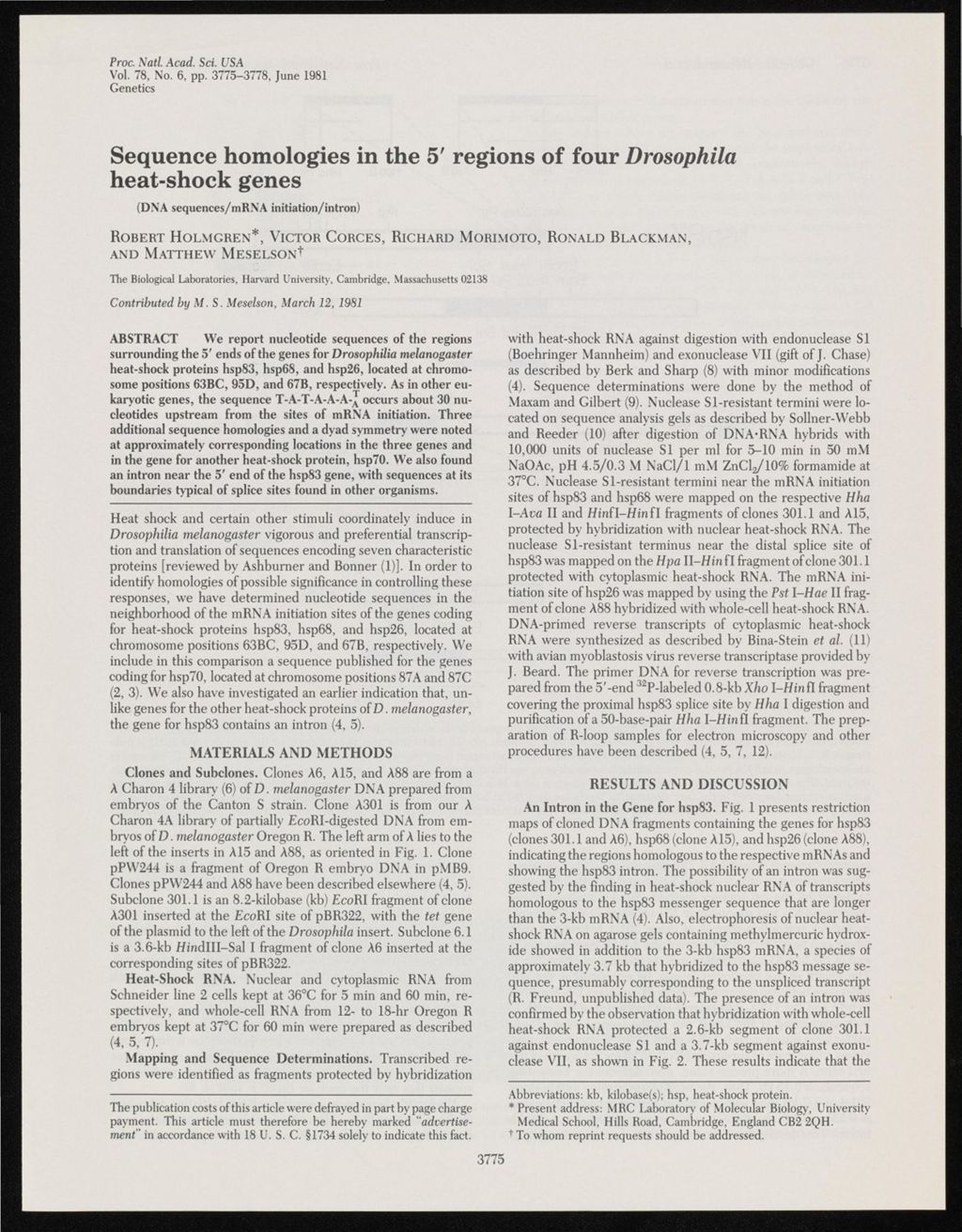 Sequences, 1980 - 1981