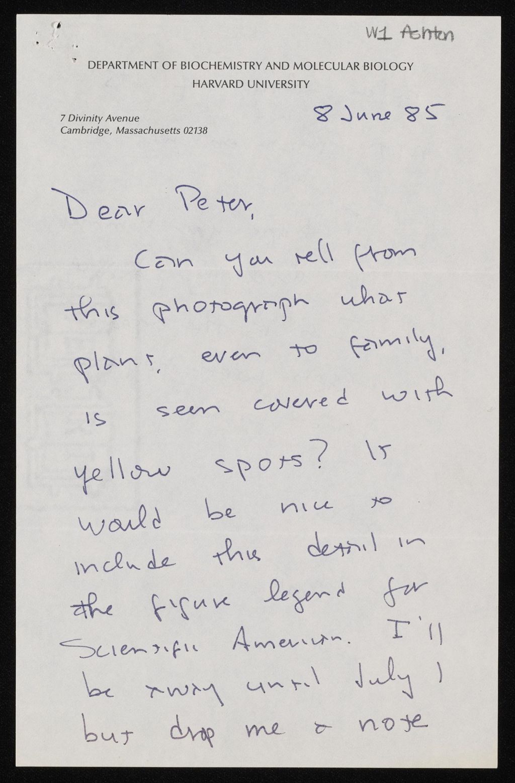 (2 of 2), 1985
