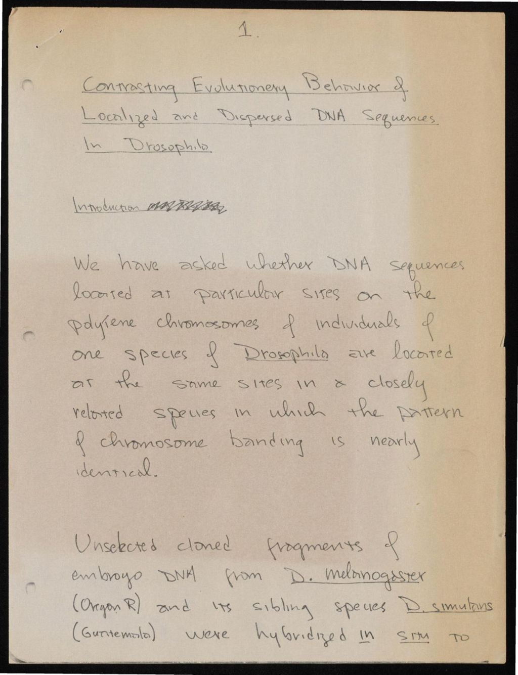 Drosophila and Life in Israel, 1958